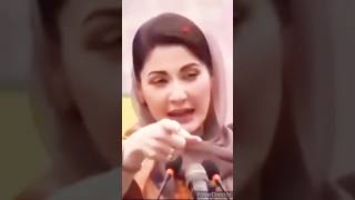 پہلا پٹواری جان نثار اپنے ناک کی ہڈی تڑوا بیٹھا مریم نواز کا فخر  #maryamnawazfunny#pmlnleaders