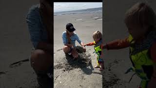 Such Fascinating Creatures!! #crab #fishing #beach #cool