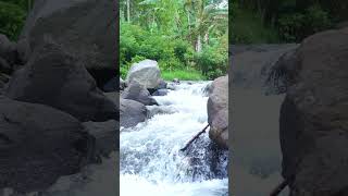 Nature’s Symphony: The Allure of Waterfalls