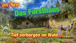 Das Forsthaus - tief verborgen im Wald lebte der Förster. Lost Places | Mützes Welten