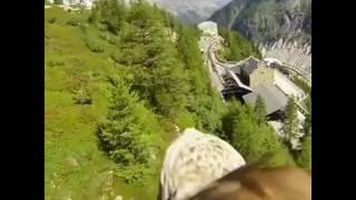 Eagle Flying High | | Amazing Video