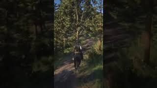 RED DEAD REDEMPTION 2 PS4 [Free Roam Gameplay] #shorts