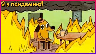 ЛУЧШИЕ ПРИКОЛЫ 😂 10 МИНУТ СМЕХА ДО СЛЁЗ / ТЕСТ НА ПСИХИКУ/ УГАР ПРИКОЛ🤣 ПРИКОЛЮХА