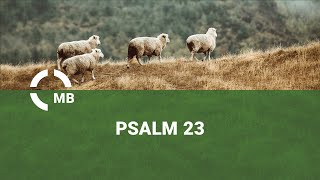 Psalm 23 aus der Sicht Davids - Predigt von Samuel Regehr