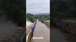 Kerala Rain Updates 2023 | Perunthenaruvi Falls