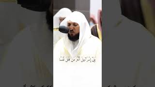 (فَبَعَثَ ٱللَّهُ غُرَابًا يَبْحَثُ فِى ٱلْأَرْضِ...) بصوت الشيخ ماهر المعيقلي