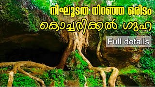 Kochareekkal caves | എറണാകുളത്ത് തീർച്ചയായും കണ്ടിരിക്കേണ്ട അതിസുന്ദരമായൊരു സ്ഥലം | കൊച്ചരീക്കൽ ഗുഹ