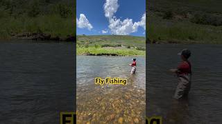 Fly Fishing @ Heber City Utah #acquariumfish #fishing #fish