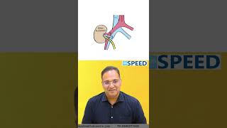 Ectopic Kidney | Knowledge Bytes - Dr K Vinayak Senthil #finalyearmbbs #neetpg #inicet