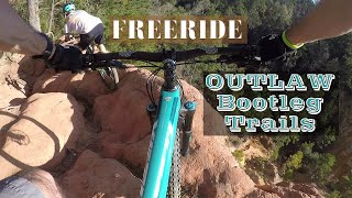 Downhill Freeride Mountain Biking