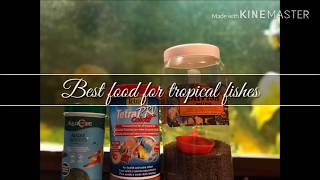 Best food for tropical fishes