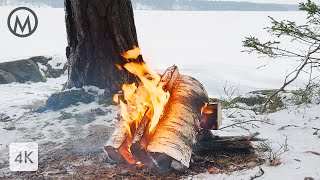 Windy Campfire 🔥 Warm Flames in the Cool Breeze - 3 hours 4K