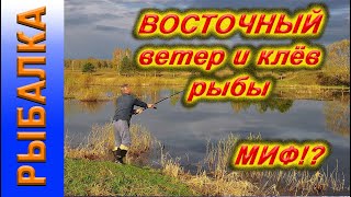 ВОСТОЧНЫЙ ветер и клев рыбы