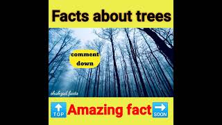 Amazing and random facts about trees and toilet paper ||#shorts