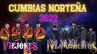 Los Viejones de Linares & Relampaguitos - Cumbias Norteñas Mix 2022