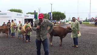 Agrofest de la Cooperativa Naranjito