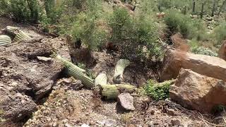 Desert Mountain Landslide