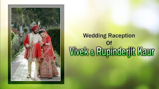 Wedding Reception Of Vivek Weds Rupinderjit Kaur