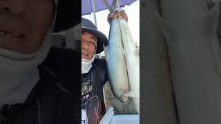 bangus #2 /#SHORTS VIDEO