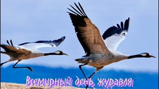 11 СЕНТЯБРЯ. ДЕНЬ ЖУРАВЛЯ.