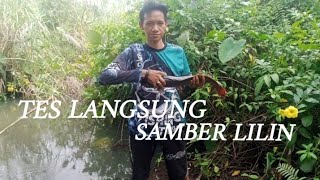 Tes langsung pembuktian samber lilin dapat lele jumbo jagoan mancing