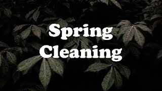 Maddie & Tae - Spring Cleaning (lyrics)