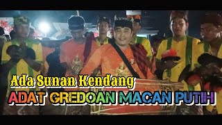 PAWAI KIRAB !! ADAT GREDOAN !! DESA MACAN PUTIH KABAT BANYUWANGI