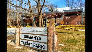 Ormanya Doğal Yaşam Parkı