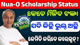 Nua-o scholarship 2024 || ଭୁଲ୍ ଥିଲେ ସଂଶୋଧନ କରିବେ କେମିତି ? #nuao #nuaodisha #scholarship