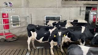 2017 Lely Robot & Cubicle Shed