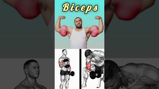 Best Biceps Workout #shorts #biceps #bicepsworkout #workout #bodybuilding #gym #viral