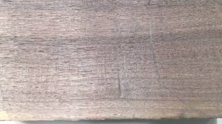 Salvage on Walnut for light Barnwood gray