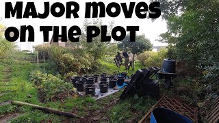 Major moves | Allotments For Fun and Food