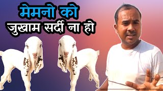 Bakri Ke Baccho Ko Jukham Sardi Se Bachane Ka Tarika |Vimalumrao