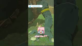 my first breath of the wild experience