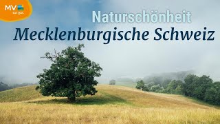 Die Mecklenburgische Schweiz - Naturschönheiten und Aktivitäten im Herzen von Mecklenburg-Vorpommern