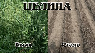 Целина отступает! Готовы грядки для помидоров!