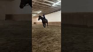 First canter on Ruby (awhile ago)