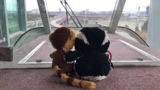 Pengui and Cutie take the AirTrain at Newark Int’l Airport