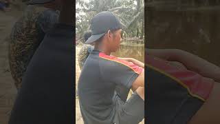 hari Minggu mancing mania #shortvideo #mancingmania