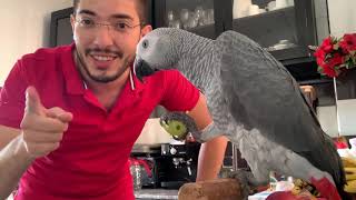 How To Make Easy Healthy Parrot Food🦜 وجبة متكامله حضرتها بالبيت للببغاء لافريقي الرمادي🐦#كاسكو🦅