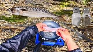 Mackerel Catch and Cook