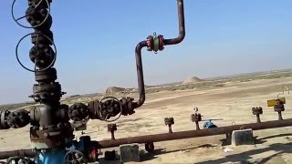 Wellhead in service