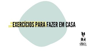 Dicas - Pet com deficiência: Exercícios para fazer em casa