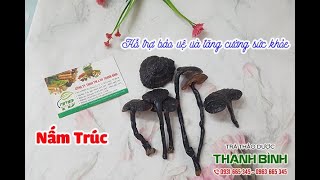 Nấm Trúc - Địa chỉ bán nấm trúc tại TPHCM chất lượng và giá tốt nhất