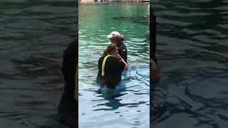 My 1st Dolphin Interaction