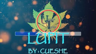 Lupit - Cueshe | Karaoke Effects