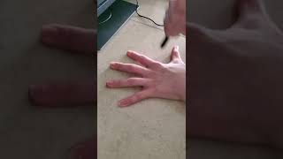 Five Finger Fillet