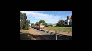 Vline N Class Locomotives and N Set Carriages #shorts #australiantrains #vline  #railway #train