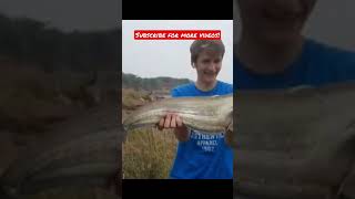 Wallago attu fishing Godavari River near Hyderabad 🐟🪝#shorts #short #catfish